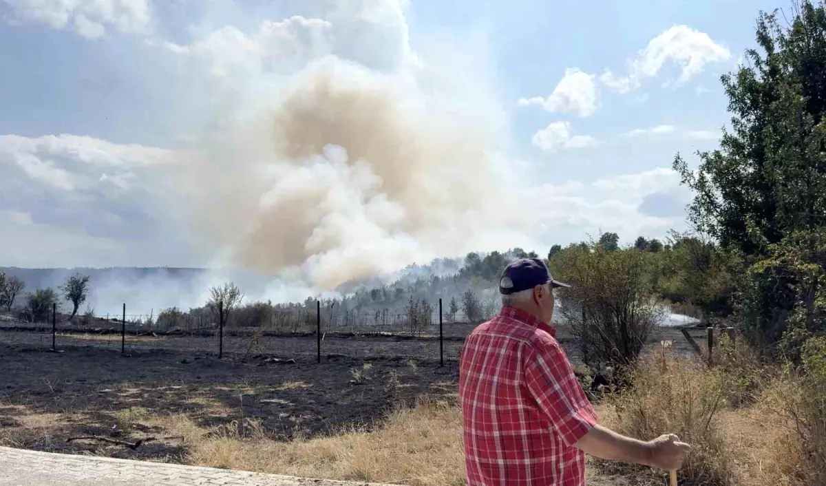 Kastamonu'da Orman Yangını Kısmen Kontrol Altına Alındı