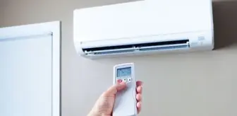Klima suyu çiçeklere dökülür mü?