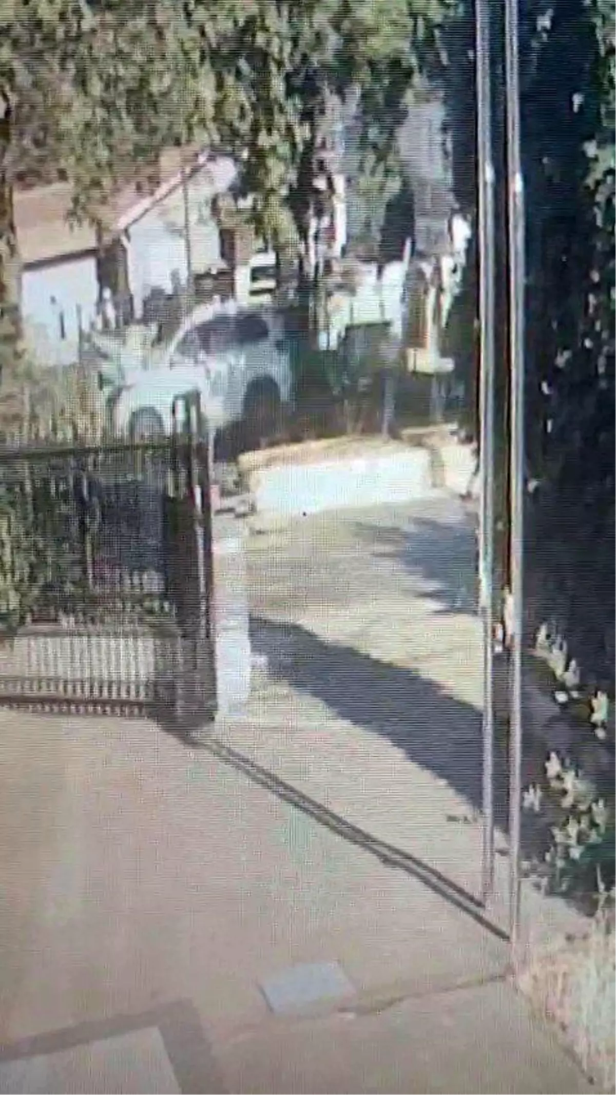 Tuzla'da Staj Yapan Lise Öğrencisi Cipin Çarpması Sonucu Hayatını Kaybetti