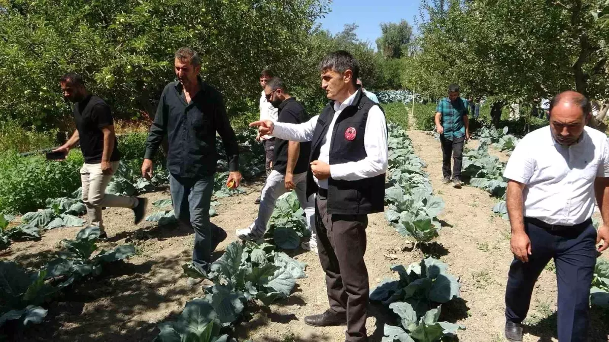 Vanlı Çiftçi Modern Sulama Sistemi ile Verim Artışı Sağladı