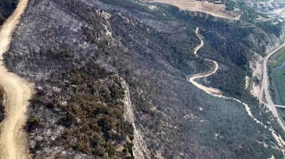 Karabük'te Orman Yangını Kontrol Altına Alındı