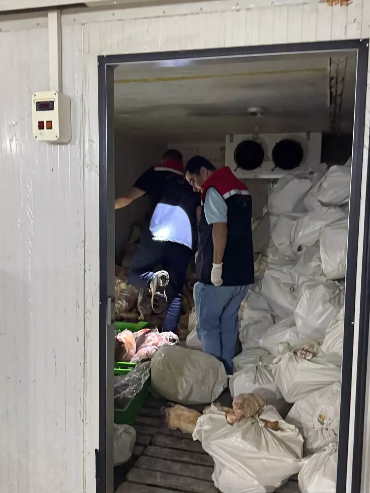 Şırnak'ta Kaçak Et Denetimi: 3 Ton İmha Edildi