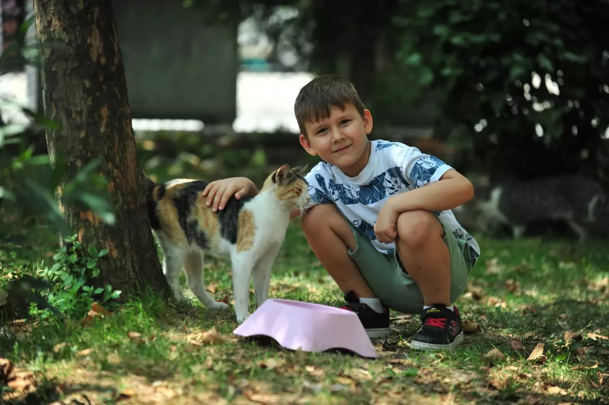 Çocuk İçin Anlamlı Doğum Günü Hediyesi: Sokak Hayvanları