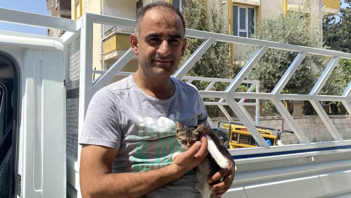 Ağaca Mahsur Kalan Yavru Kedi Kurtarıldı
