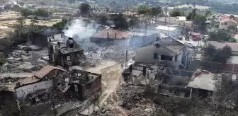 Alevlerin sardığı köyde kayıp büyük: 2 ton yağım vardı, hepsi yandı