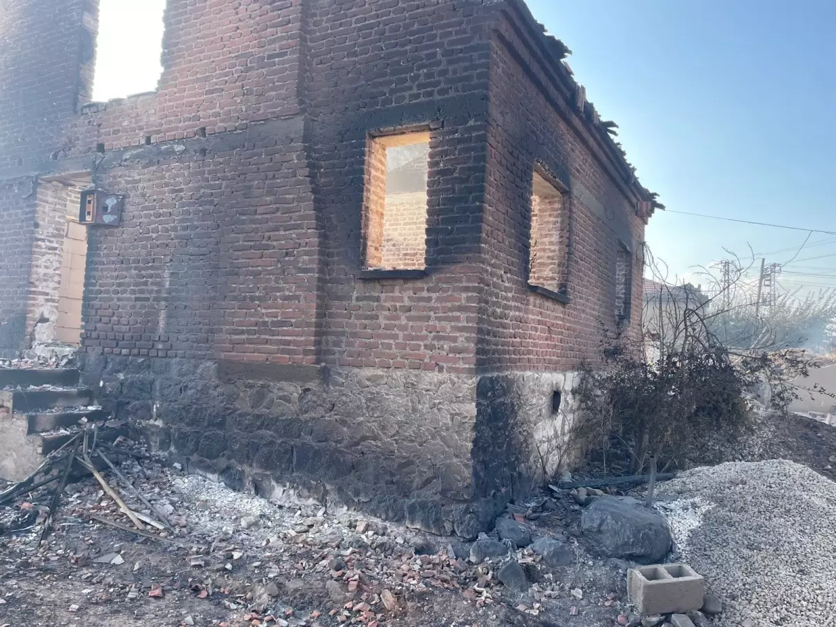 Çanakkale Bayramiç'te Orman Yangını Sonrası Hasar Tespit Çalışmaları Başladı