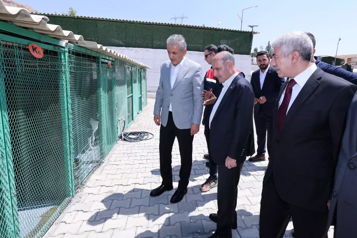 Bakan Yardımcısı Aktaş, Mardin'de Hayvan Bakımevi'ni Ziyaret Etti
