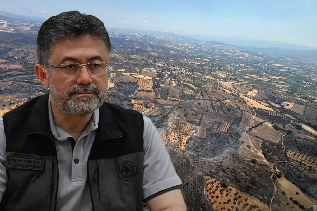 Çanakkale'deki orman yangınları kontrol altına alındı! Hasarın boyutu görüntülendi