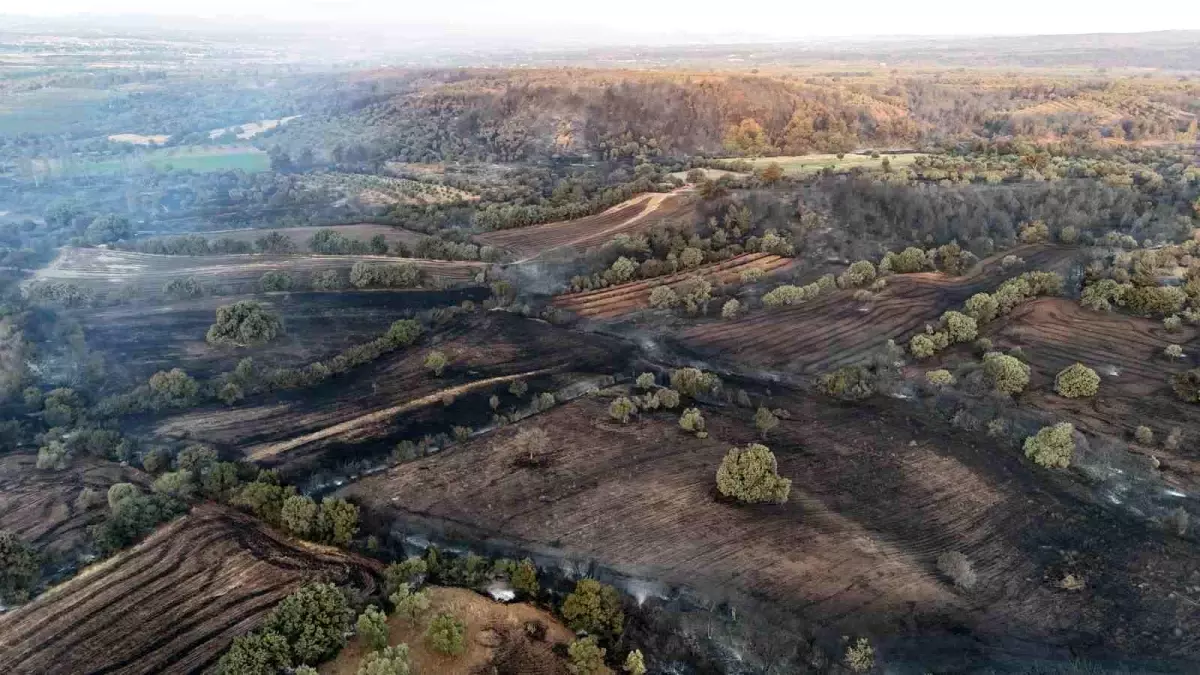 Çanakkale'de Orman Yangını: Saçaklı Köyü Alevlere Teslim Oldu