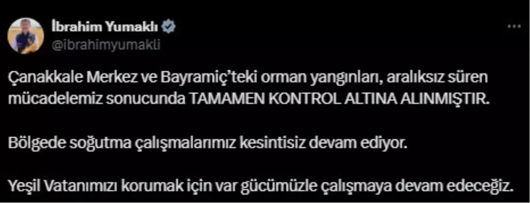 Çanakkale'deki Orman Yangınları Kontrol Altına Alındı