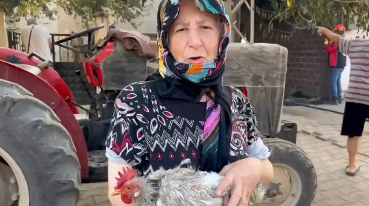 Yangında 3 Tavuğu Kalan Kadın Yardım İstedi