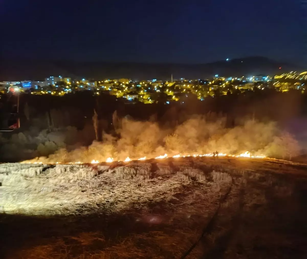 Diyarbakır Silvan'da Kırsal Alanda Örtü Yangını Çıktı