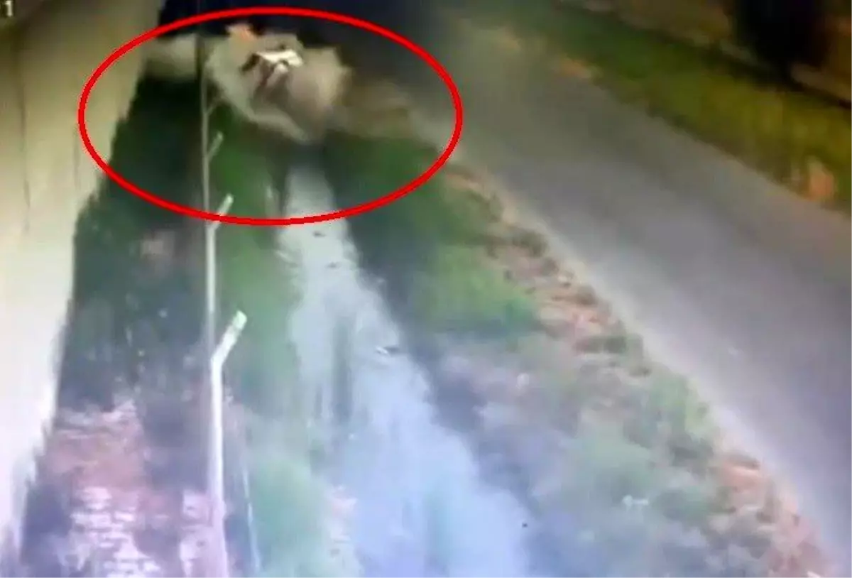 Hatay'da Kontrol Kaybı Sonucu Araç Sulama Kanalına Düştü