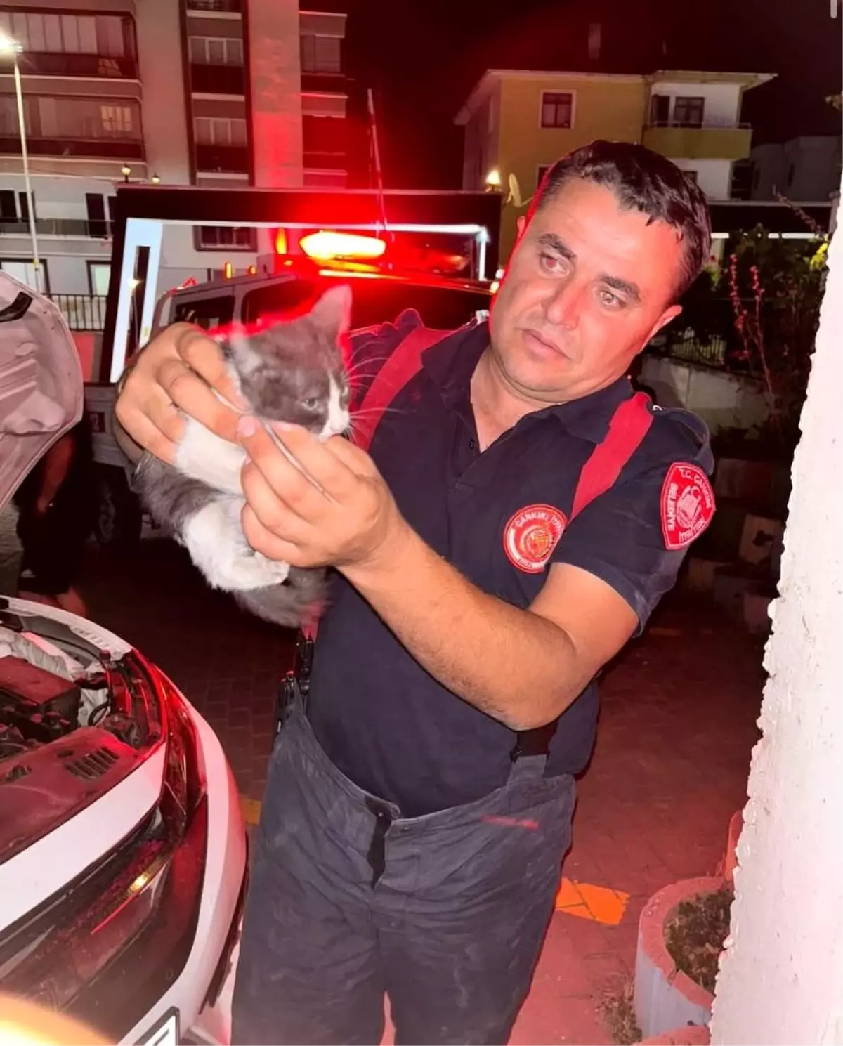 Çankırı'da Yavru Kedi Otomobilin Motoruna Sıkıştı, İtfaiye Kurtardı