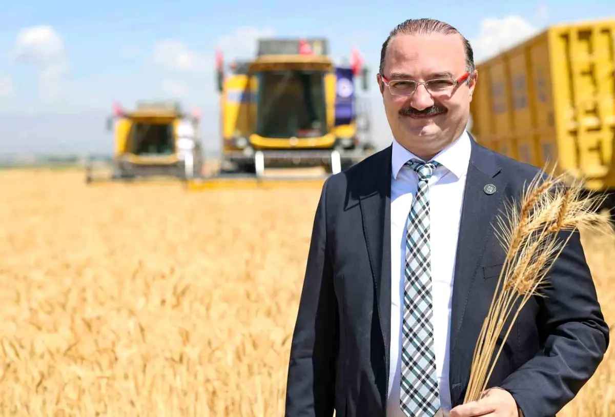 Erzurum Ovasında Buğday Hasadı Törenle Başladı