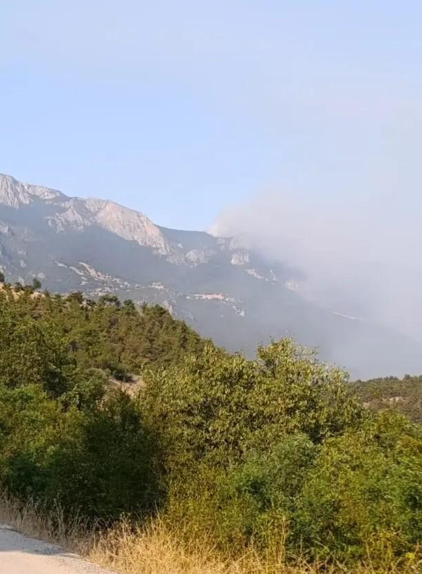 sinop ta orman yangini bir koy tahliye edildi 18931414 6550 m