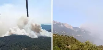 Sinop'ta orman yangını! Bir köy tahliye edildi