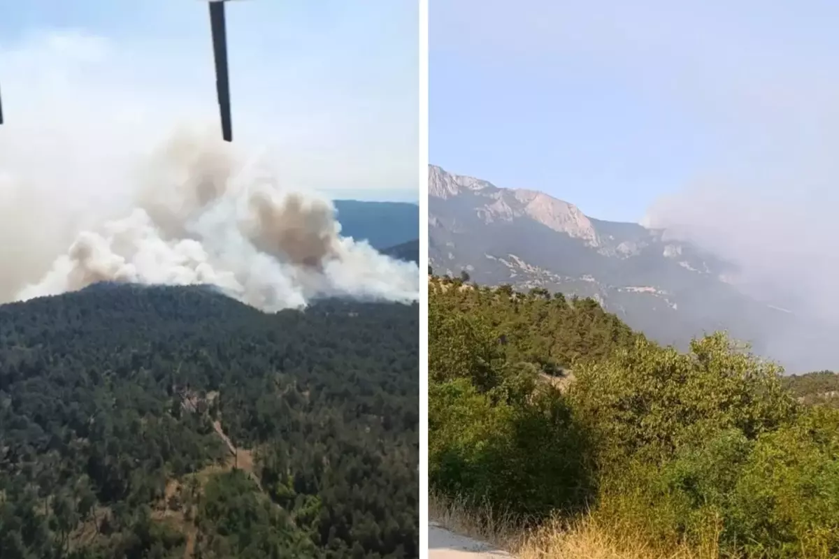 Sinop'ta orman yangını! Bir köy tahliye edildi