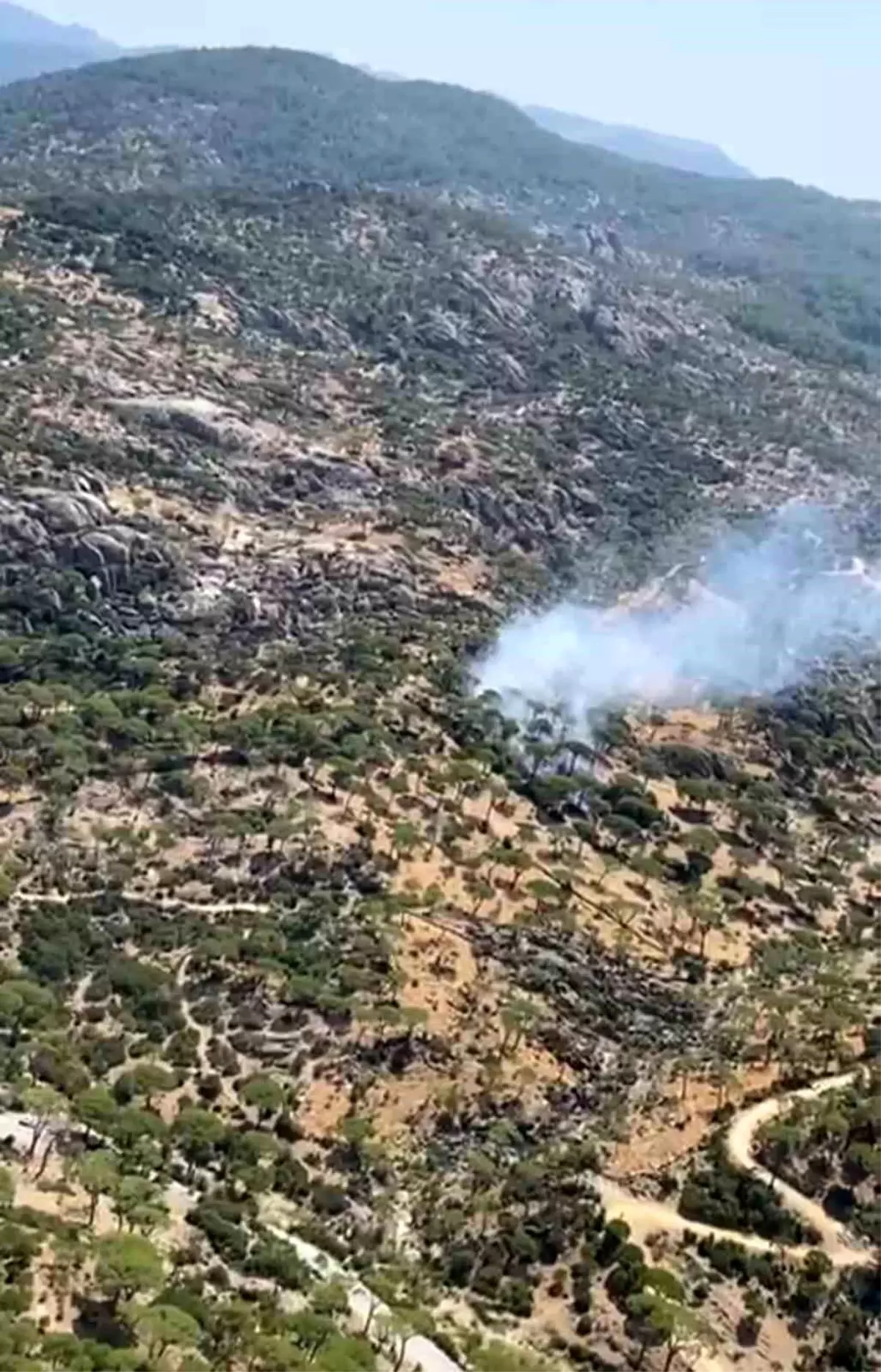Aydın'da Yangın Çıktı, Ekipler Müdahaleye Başladı