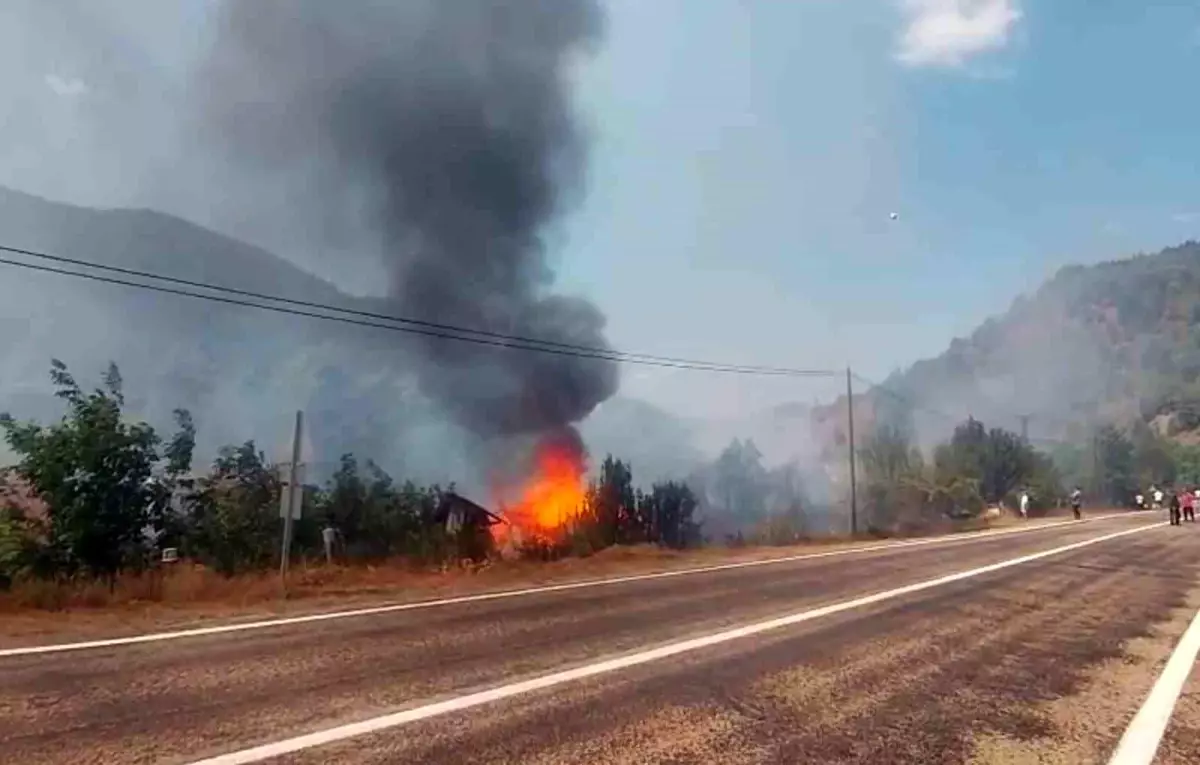 Kastamonu'da Tarlada Yangın: Samanlık Kullanılamaz Hale Geldi