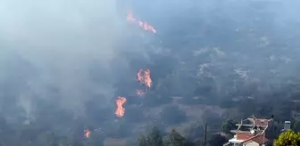 Komşuda orman yangınıyla mücadele! 1 kişi hayatını kaybetti, ekolojik felaket yaşanabilir