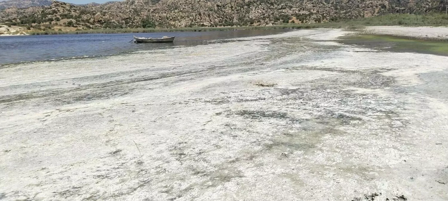 Bafa Gölü'nde Kirlilik Sorunu: Dereler Kurudu, Kötü Koku Ortaya Çıktı