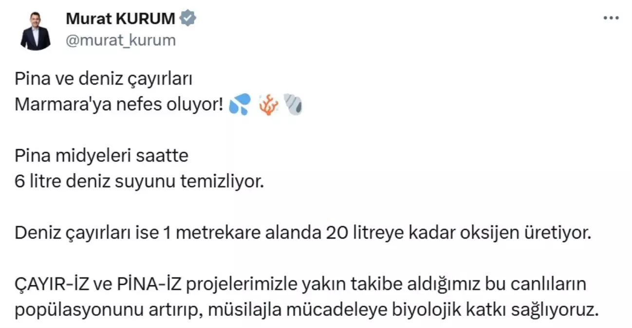 Marmara Denizi'nde Müsilajla Mücadele İçin Yeni Projeler Başlatıldı