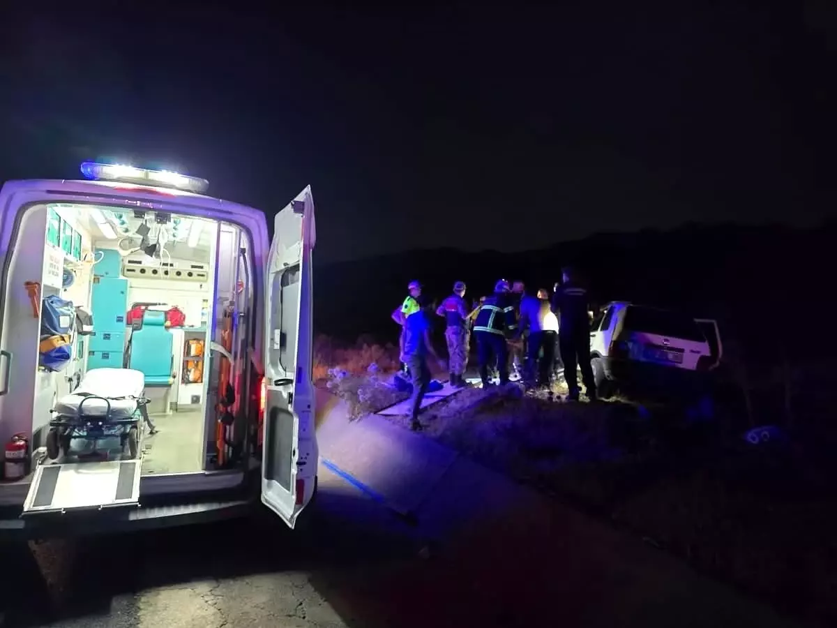 Bingöl'de Otomobilin Ata Çarpması Sonucu 2 Yaralı