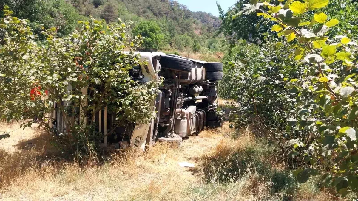 Mudurnu'da Kontrolden Çıkan Tır Fındık Bahçesine Devrildi