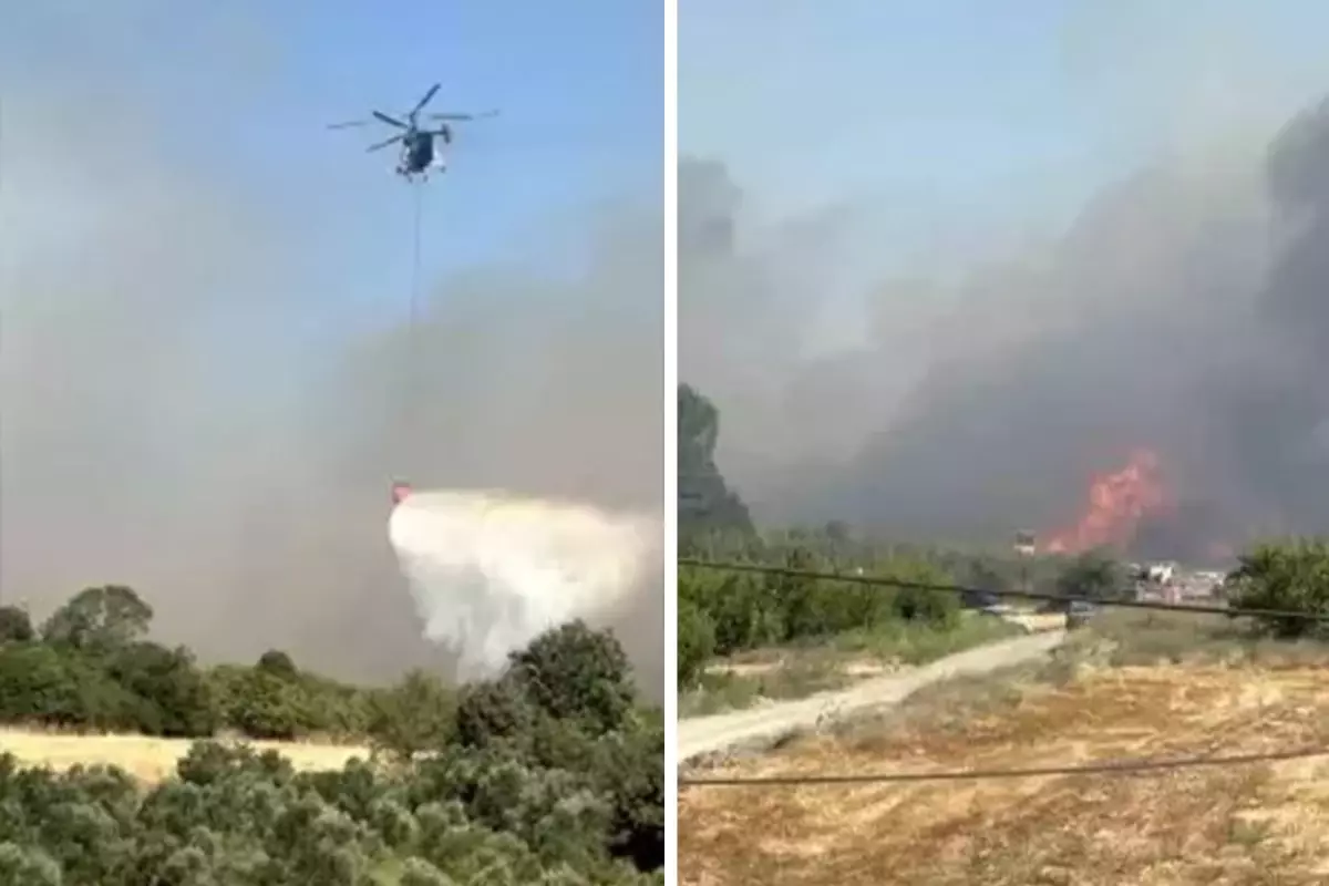 Çanakkale'de çıkan yangın ormana sıçradı