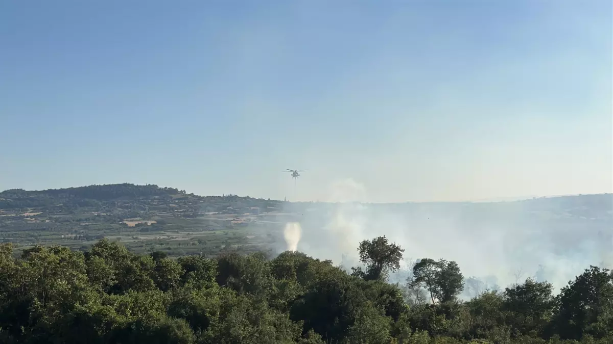Çanakkale'de Orman Yangını Kontrol Altına Alındı