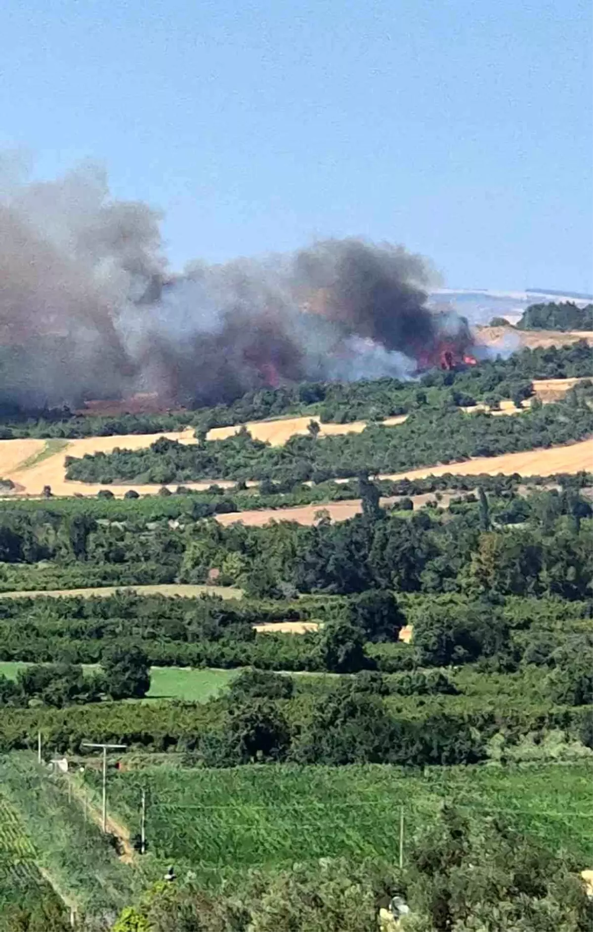 Çanakkale'de Tarım Arazisinde Başlayan Yangın Ormana Sıçradı