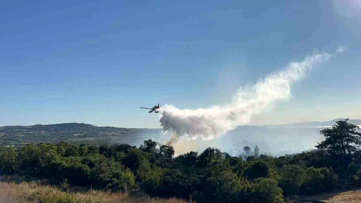 Çanakkale'de Yangın Kontrol Altına Alındı