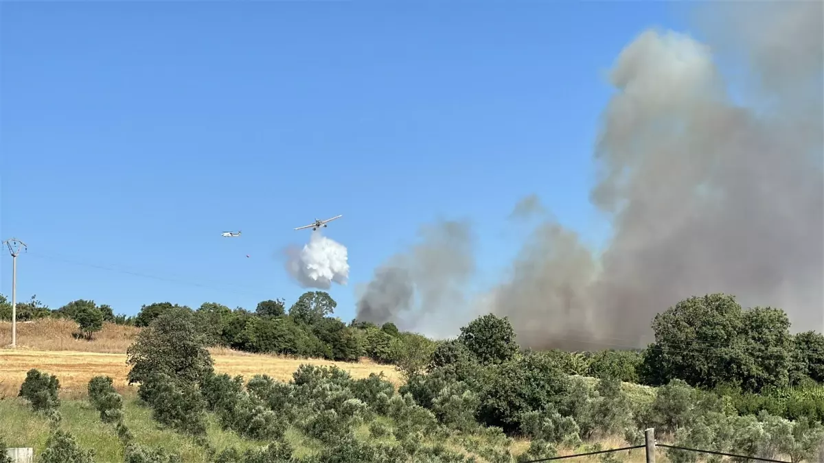 Çanakkale'de Yangın Açıklaması: Yerleşim Birimleri Tehdit Altında Değil