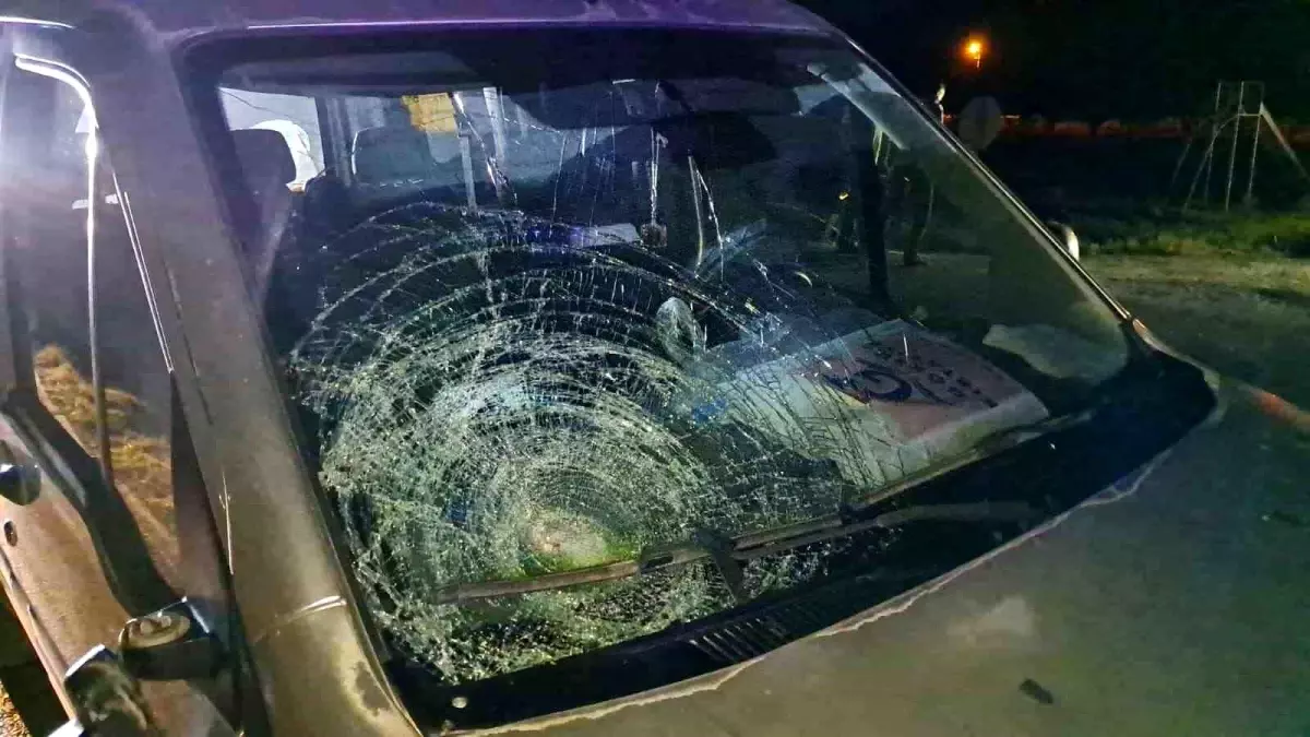 Karaman'da Trafik Kazası: Yaşlı Kadın Hayatını Kaybetti, Sürücü Darp Edildi