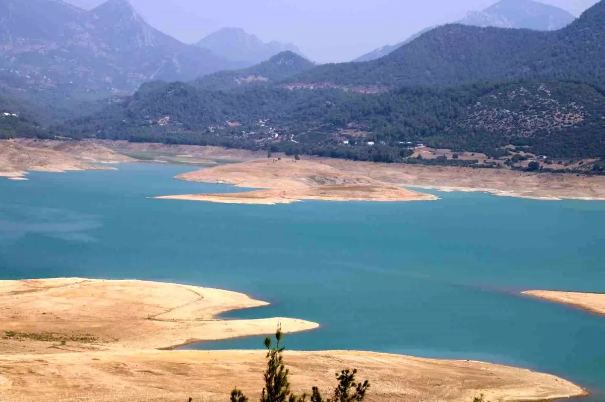 Adana'daki Kuraklık Üreticileri Zor Durumda Bıraktı