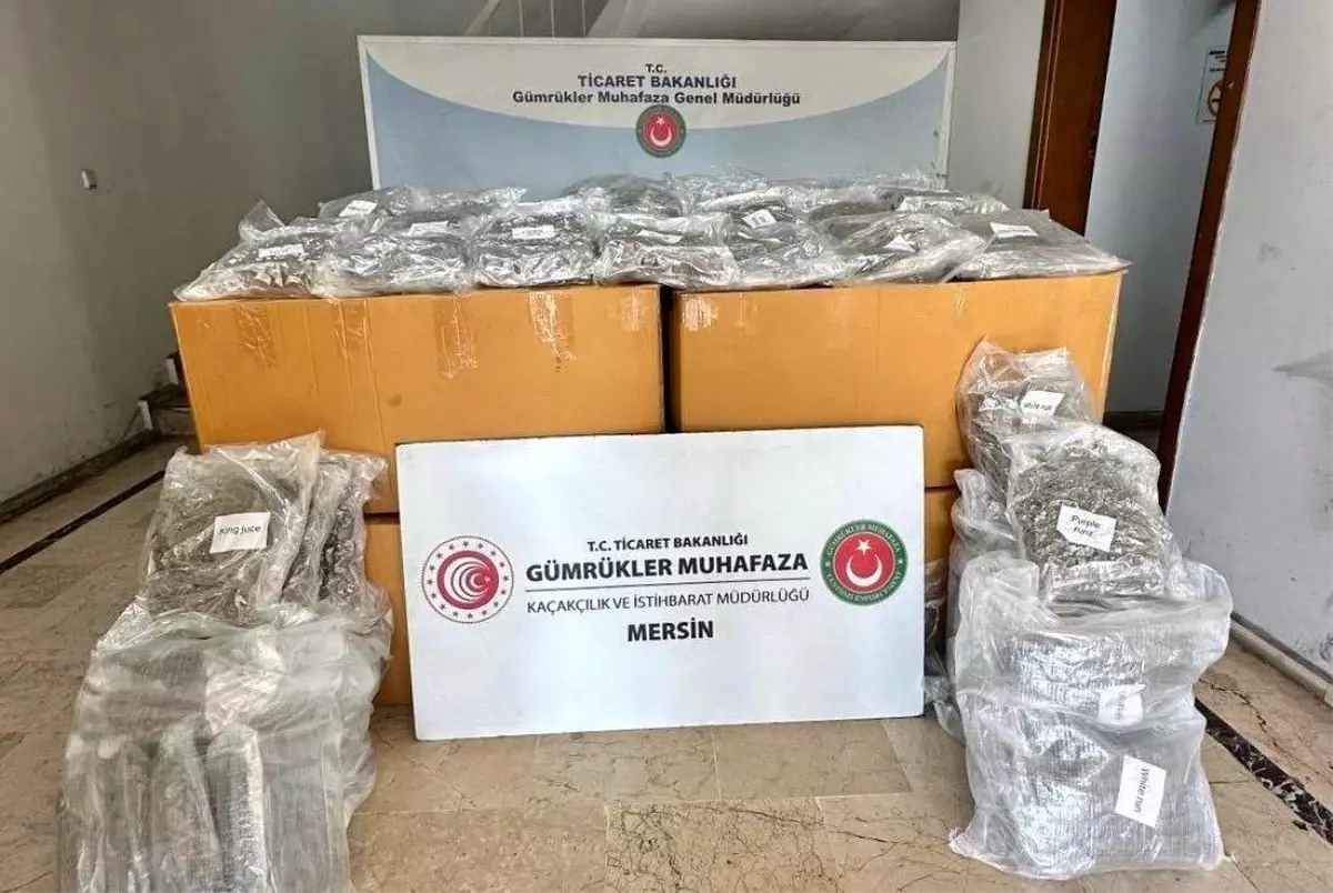 Mersin Limanı'nda 587 Kilogram Esrar Ele Geçirildi