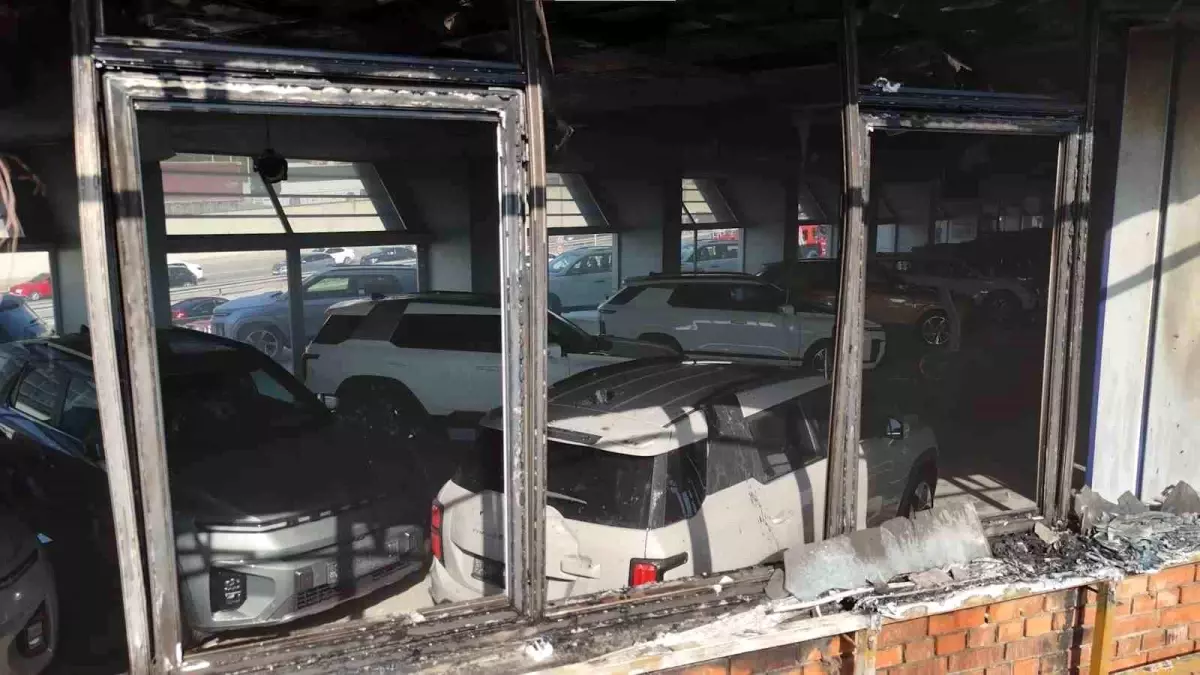 Pendik'te Galeri Yanındaki Arazi Yangını Paniğe Neden Oldu