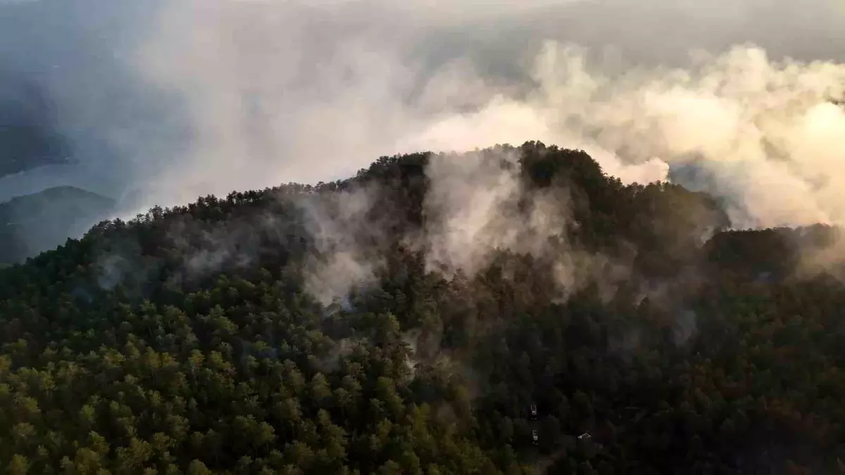 Sinop'ta Orman Yangını Kontrol Altına Alındı