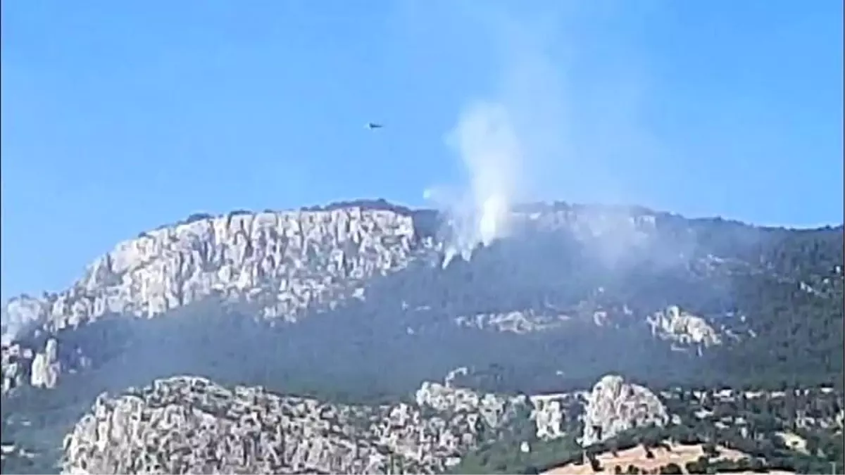 Sinop'ta Orman Yangını Kontrol Altına Alındı