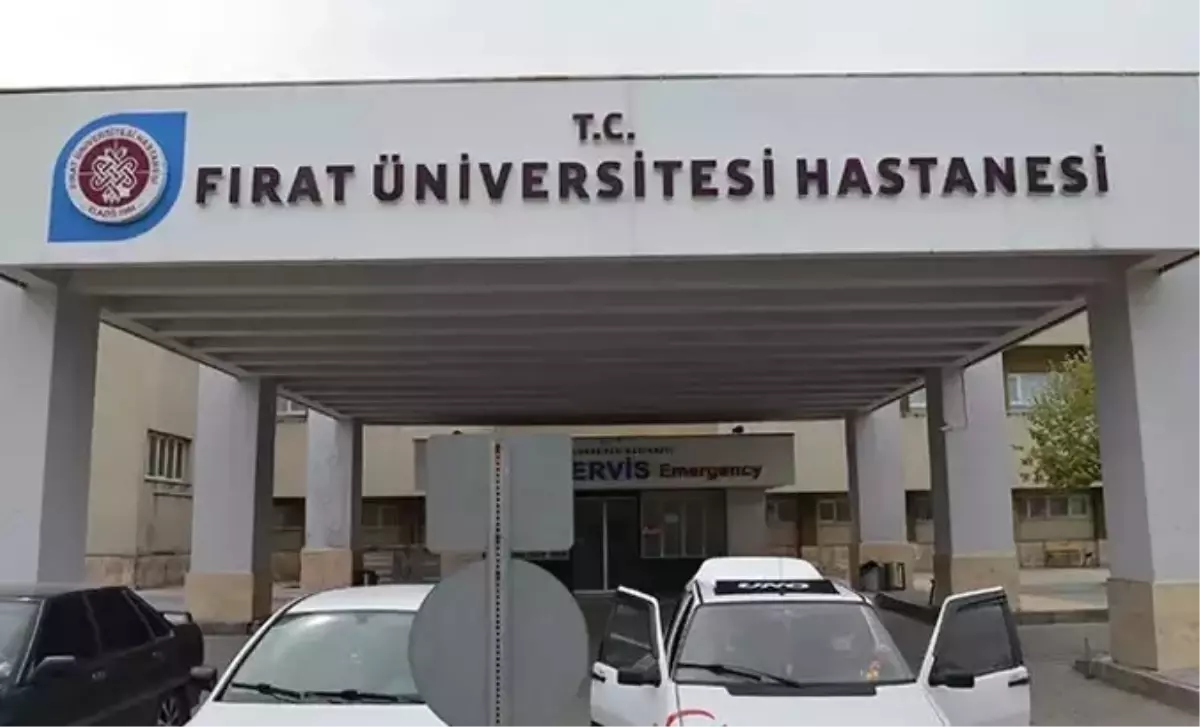 Elazığ'da Tabanca Temizlerken Yaralandı