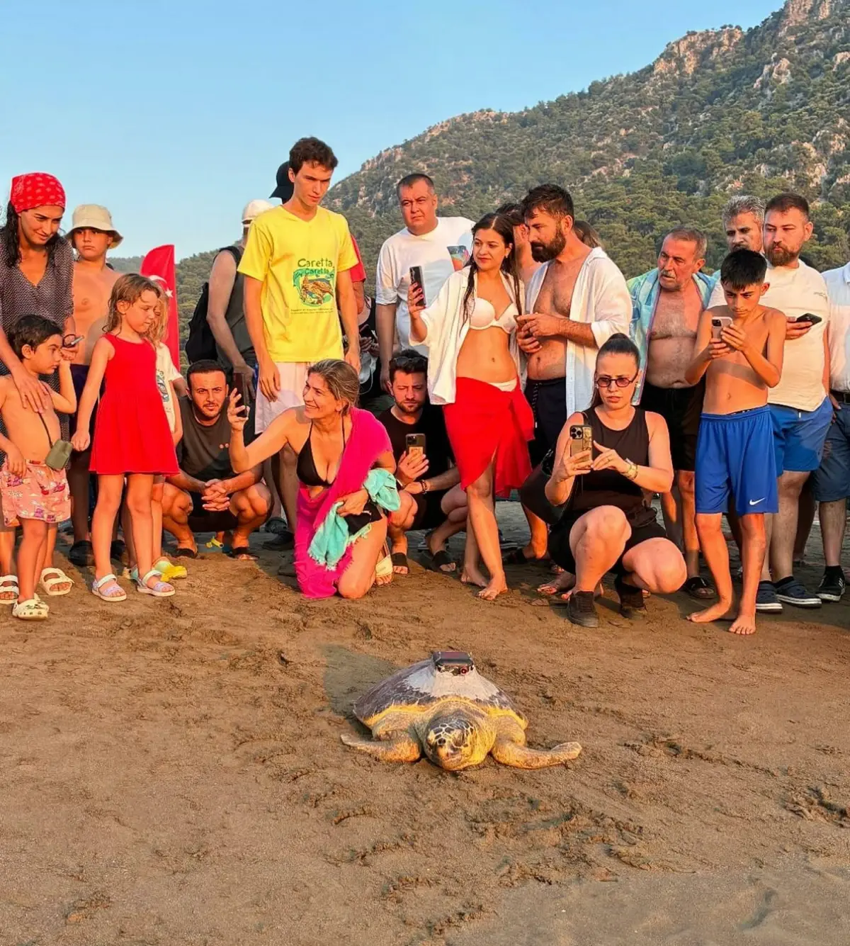Muğla'da 7 Deniz Kaplumbağası Denize Bırakıldı