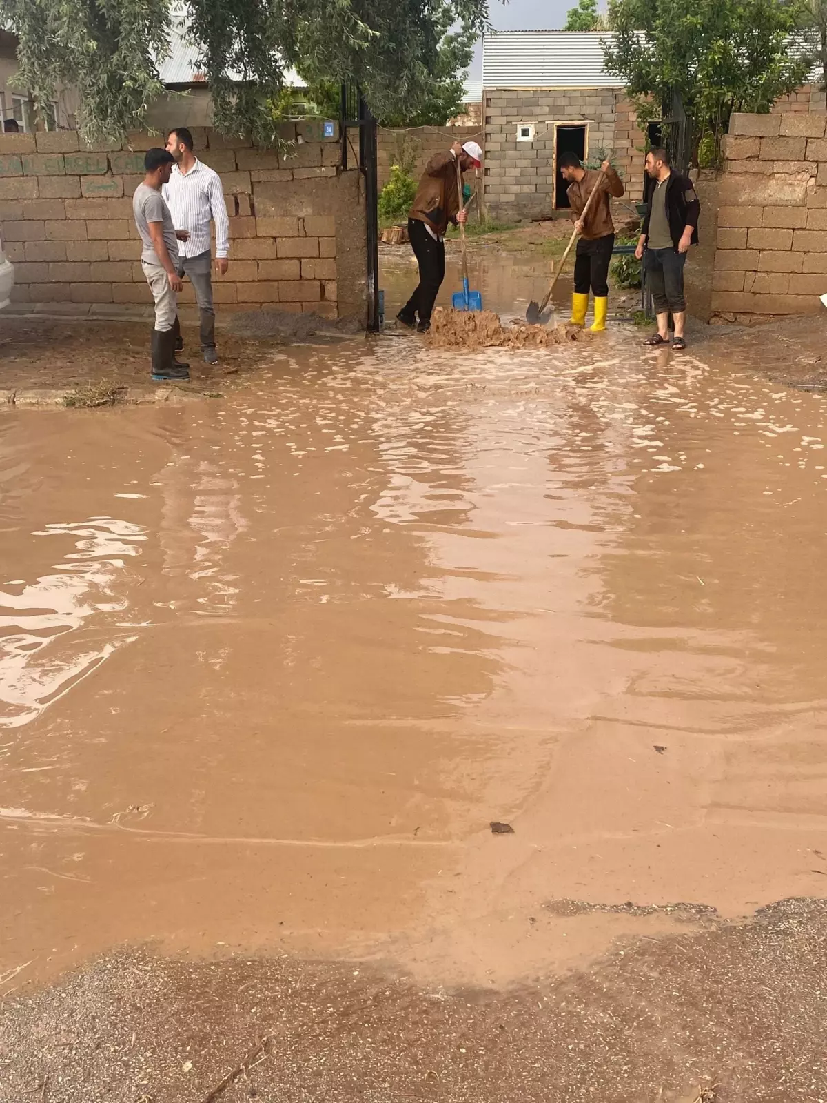 Van'da Sel Felaketi: İki Mahallede Evler Su Altında Kaldı