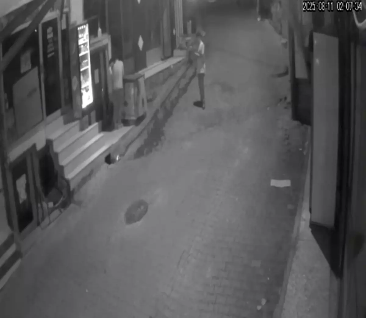 Batman'da Hırsızlar Dondurma Dolabını Kırarak Ürün Çaldı