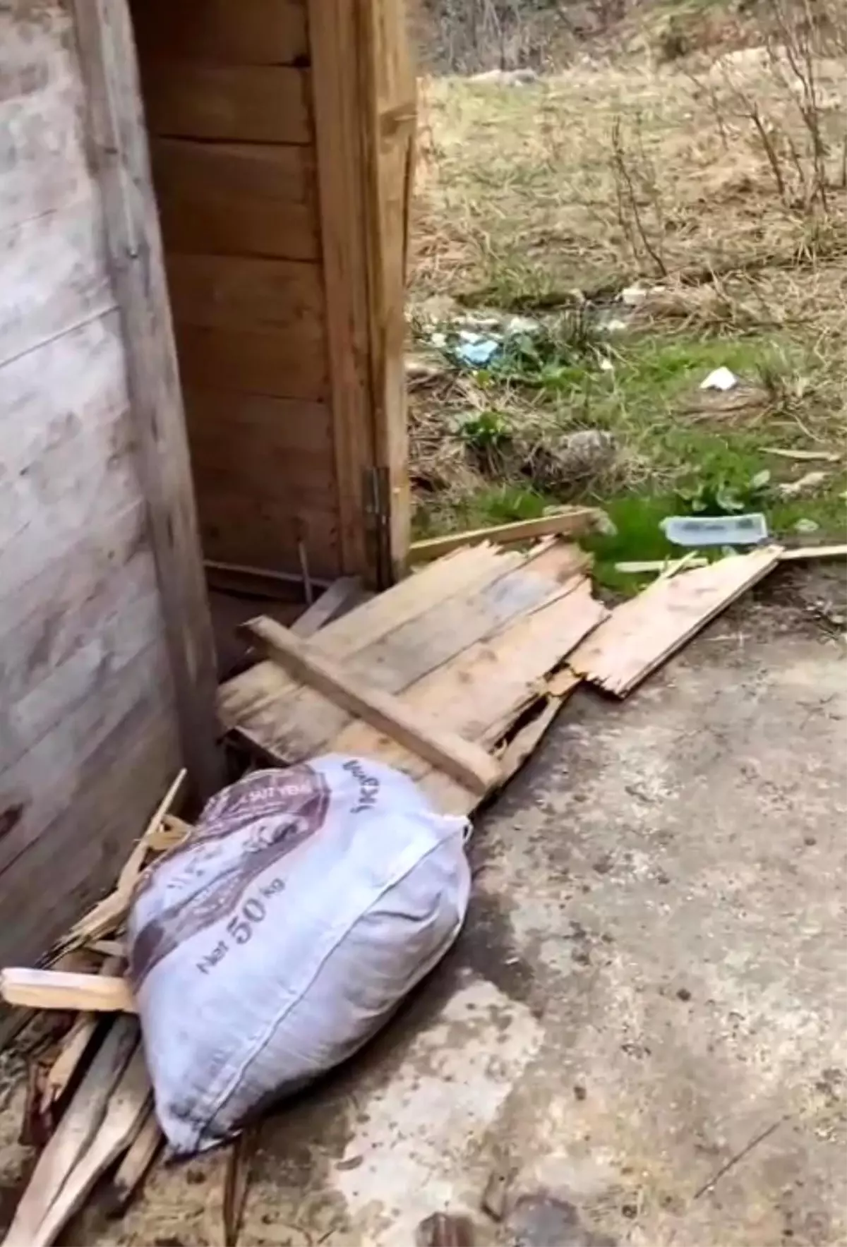 Ayılar Huser ve Ayder Yaylası'ndaki Bungalovları Talan Etti