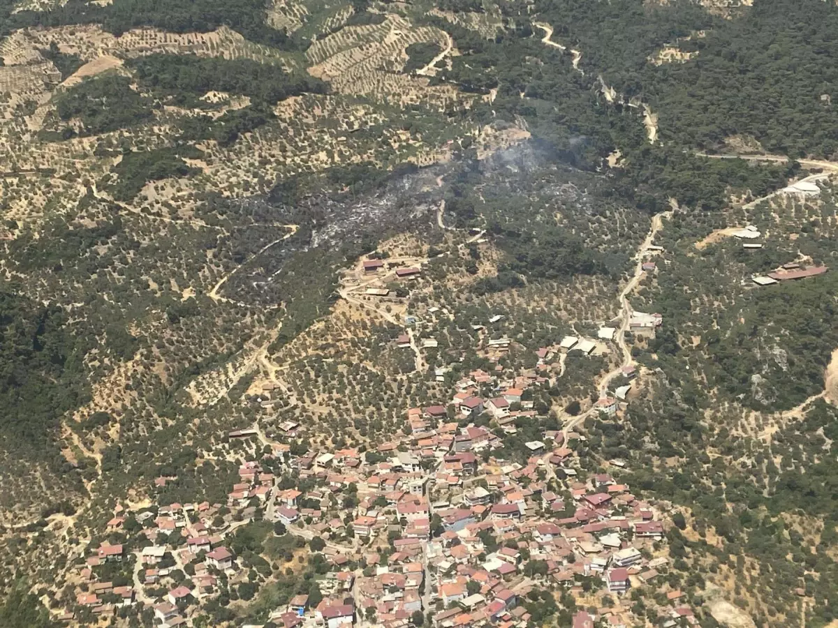 Aydın'da Orman Yangını 2,5 Saate Kontrol Altına Alındı