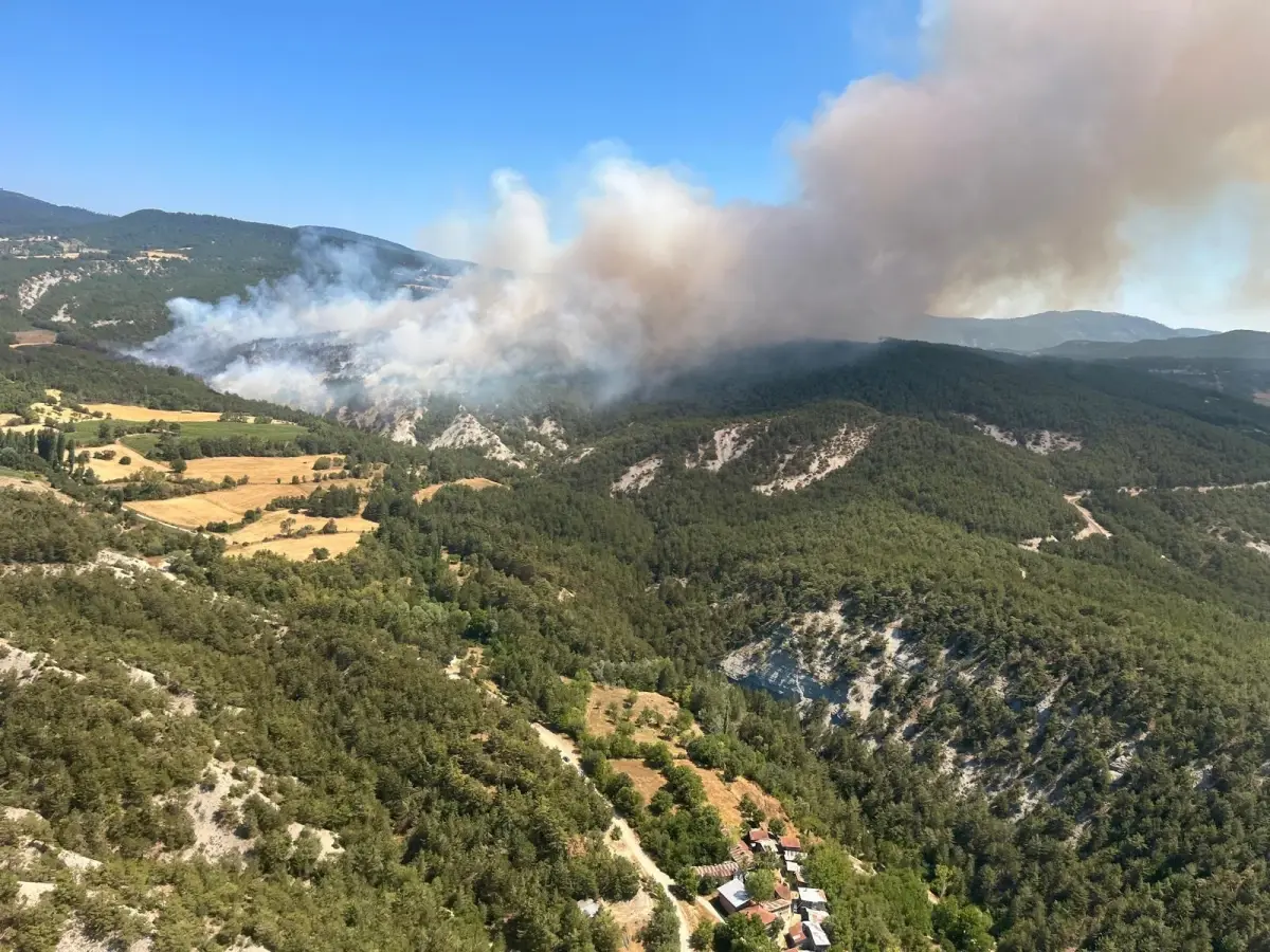 Bolu'da Orman Yangınına Havadan ve Karadan Müdahale