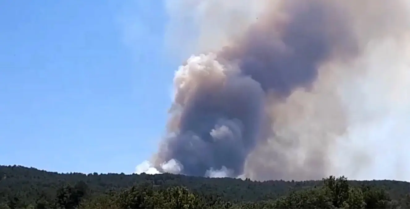 Bolu'da Orman Yangını: Ekipler Müdahale Ediyor