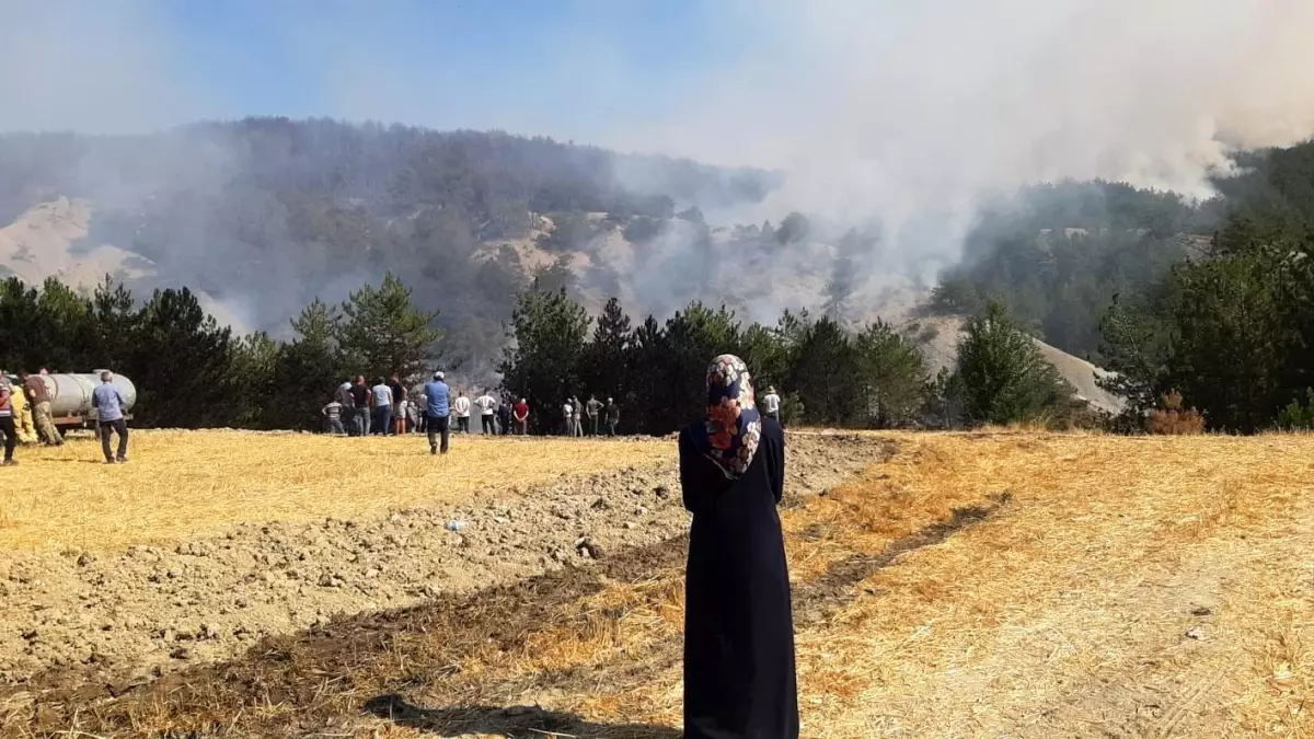 Bolu'daki Yangına Havanın ve Karadan Müdahale Devam Ediyor