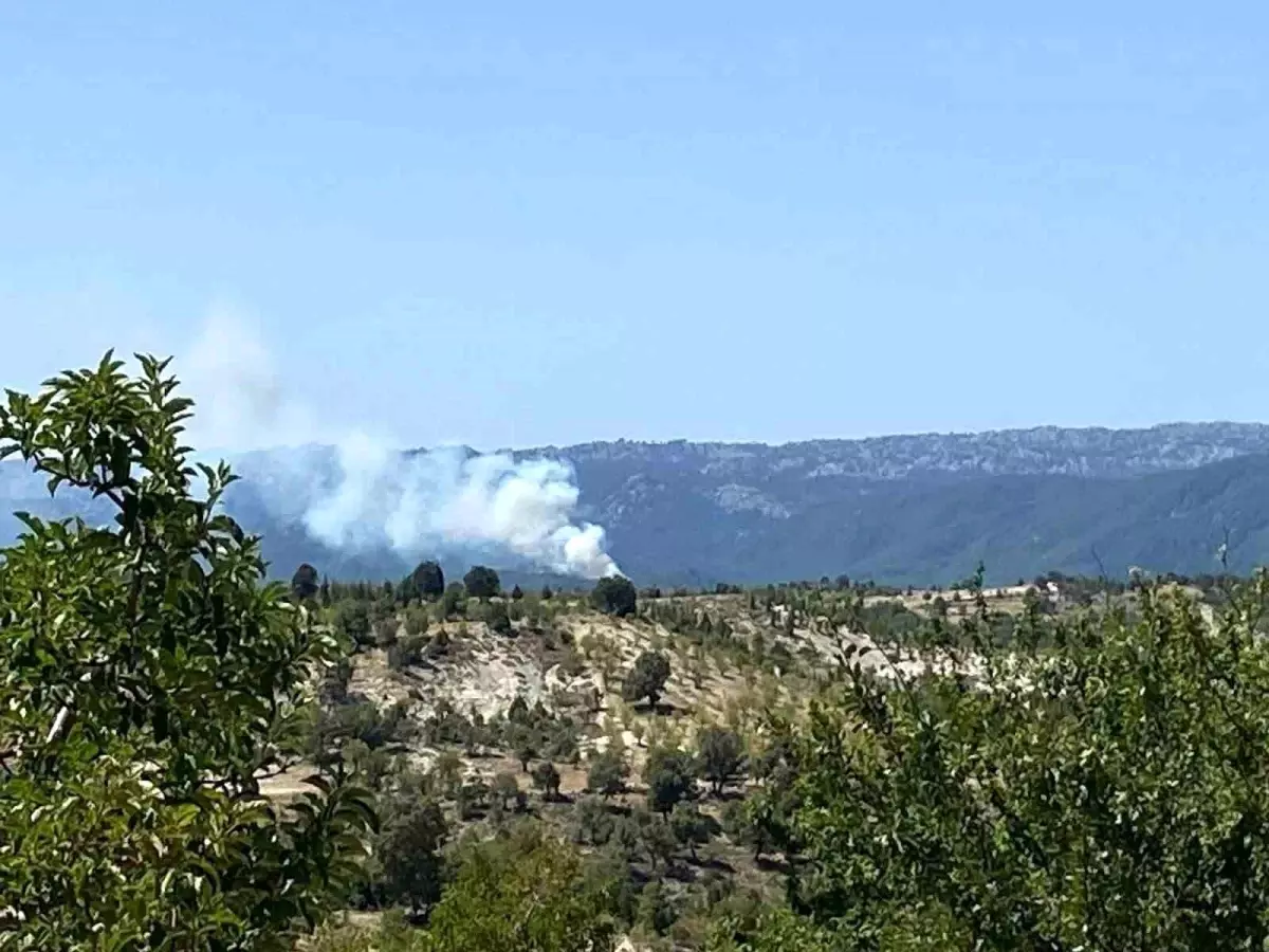 Mersin'de Orman Yangınına Havadan ve Karadan Müdahale